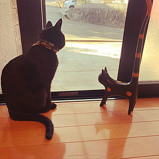 外を見ている猫/猫が木彫りの猫と一緒に/木彫りの猫/窓辺に猫/玄関/入り口のインテリア実例 - 2020-11-17 16:49:56
