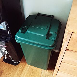 キッチン/DULTON/ゴミ箱のインテリア実例 - 2015-06-25 23:16:34