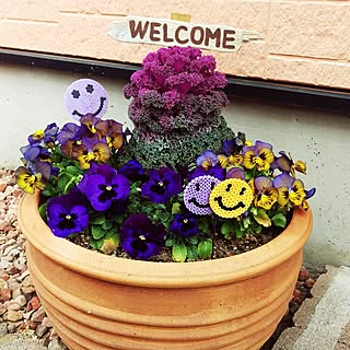 パンジー カインズの商品を使ったおしゃれなインテリア実例 Roomclip ルームクリップ