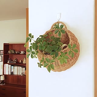 壁/天井/ビンテージ家具/バスケット/観葉植物/北欧家具...などのインテリア実例 - 2016-05-08 10:25:59