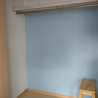 息子のクローゼットの中/DIY/子供部屋男の子のインテリア実例 - 2022-03-21 14:14:37