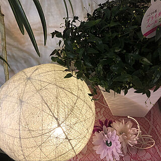ブライダルベールが咲き始めました♪/ダイソー/100均雑貨/花色々/白の花...などのインテリア実例 - 2021-04-16 21:39:59