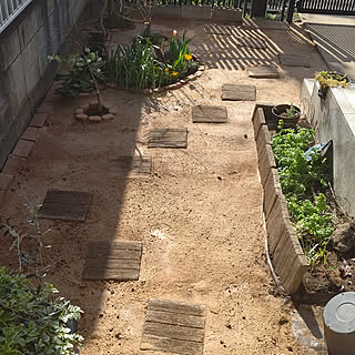 庭 飛び石のおしゃれなインテリアコーディネート レイアウトの実例 Roomclip ルームクリップ