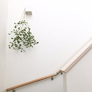 壁/天井/楽天roomやってます/IKEA/IG→kana_home_/@room_d371b30d25...などのインテリア実例 - 2017-03-04 13:57:45