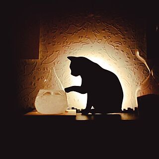 棚/Cat Wall Light/Tempo Drop mini/tempo drop/照明...などのインテリア実例 - 2016-05-16 20:48:43