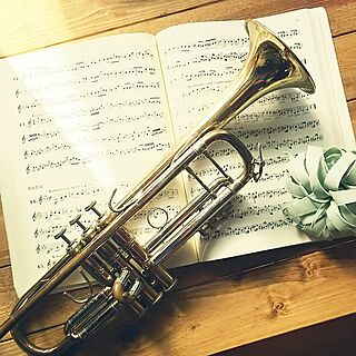 楽器 トランペットのおしゃれなアレンジ 飾り方のインテリア実例 Roomclip ルームクリップ