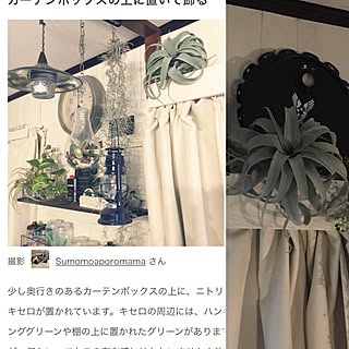 バス/トイレ/RoomCripMag/ニトリのフェイクグリーン/ニトリ/いつもいいねやコメありがとうございます♡...などのインテリア実例 - 2017-05-07 18:51:04