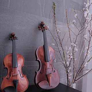 バイオリン/桜/楽器/エコカラットの壁/積水ハウス...などのインテリア実例 - 2020-03-01 22:53:57