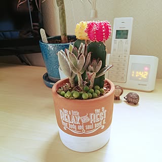 リビング/植物/NO GREEN NO LIFE/植中毒/植中毒♡...などのインテリア実例 - 2016-07-14 11:44:51