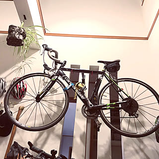 オリヅルラン/自転車用ヘルメット/ロードバイク壁掛け/吊り下げ収納/玄関/入り口のインテリア実例 - 2021-08-29 23:13:33