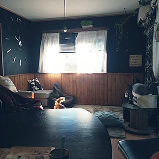 部屋全体/ねこのいる日常/ねこと暮らす。/腰壁DIY/模様替え病発症中...などのインテリア実例 - 2016-02-25 10:03:34