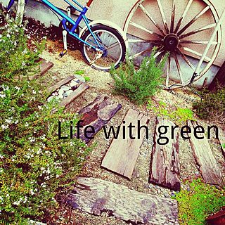 玄関/入り口/皆様今日もお疲れ様でした(⌒‐⌒)/パンクしたままの自転車(^o^;) /植物/green...などのインテリア実例 - 2015-04-19 19:31:17