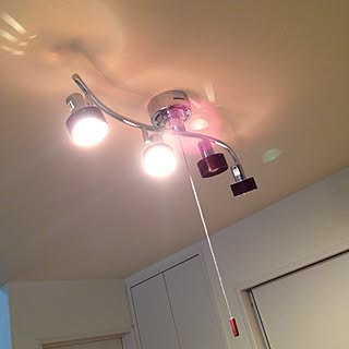 壁/天井/ダイニングの照明/照明のインテリア実例 - 2014-03-26 10:22:14