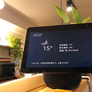 リノベーション/アレクサ/アレクサのある生活/スマート◯◯/キッチン...などのインテリア実例 - 2021-11-25 09:56:22