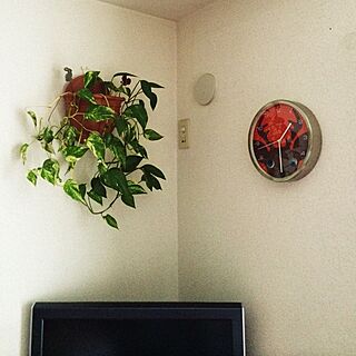 壁/天井/観葉植物/時計のインテリア実例 - 2014-03-30 13:33:47