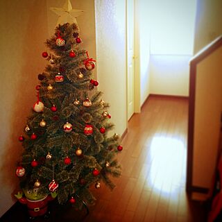 玄関/入り口/クリスマスツリー/クリスマスのインテリア実例 - 2014-12-14 15:30:49