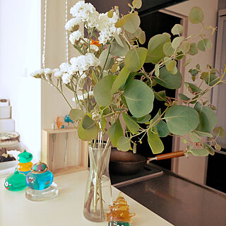 オリーブの木/オリーブの枝/花瓶のお花/お花大好き♡のインテリア実例 - 2022-05-08 13:38:04