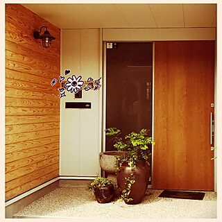 玄関/入り口/ナチュラル/観葉植物/好きな場所♡のインテリア実例 - 2017-05-25 16:19:56