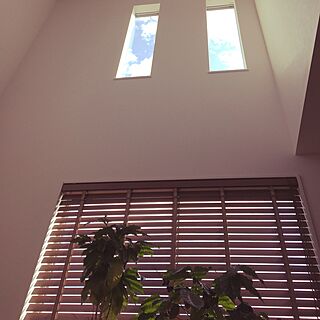 壁/天井/ボックス型の家/観葉植物/ウッドブラインド/コーヒーの木...などのインテリア実例 - 2017-07-03 15:53:15