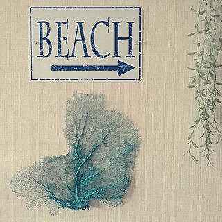 壁/天井/secret BEACH/beach house/アトリエ改造計画/マリン...などのインテリア実例 - 2016-02-29 07:45:50