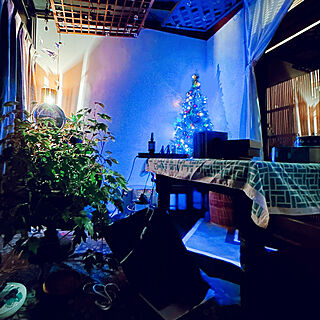 日本家屋/クリスマスツリー/クリスマス/部屋全体のインテリア実例 - 2022-12-14 18:25:05