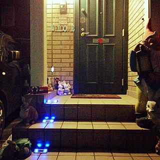 玄関/入り口/LED/うさぎのインテリア実例 - 2016-10-21 21:24:53