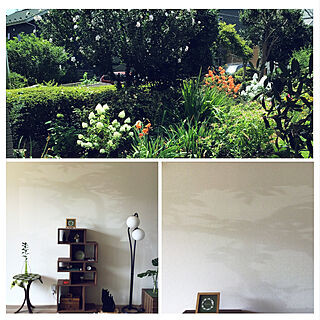 リビングの壁/ごっつあんアート/休日の過ごし方/庭/植物のある暮らし...などのインテリア実例 - 2021-07-23 11:01:13