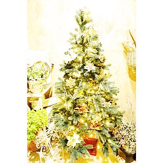 玄関/入り口/クリスマスツリー/minoi ts cafe/クリスマス/玄関...などのインテリア実例 - 2014-12-21 19:50:06