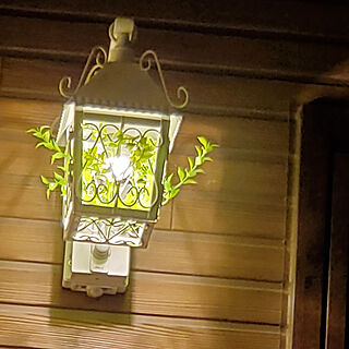 玄関/入り口/玄関照明/植物のある暮らしのインテリア実例 - 2021-02-04 23:33:08