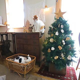 棚/クリスマス/インスタ→slow.life.works/クリスマスツリーのインテリア実例 - 2023-12-21 23:24:05