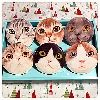 ぐでねこチャンとレトロな☆　ヘアクリップ　サバトラ ぐでねこチャンとレトロな☆ ヘアクリップ サバトラ ネコ 野外