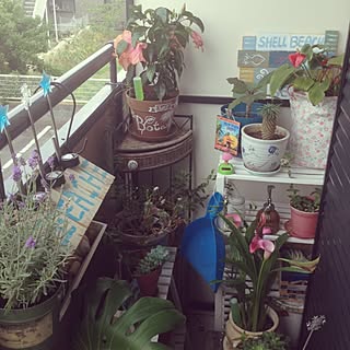 部屋全体/ちょこちょこ入れ替えてます♪/賃貸アパート/Botanicalと書いてみた！/チョークアート風...などのインテリア実例 - 2015-06-30 11:01:58