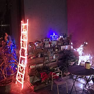 玄関/入り口/イルミネーションパレットガーデニング/クリスマス/パレットガーデニングDIY/パレットはただ♪...などのインテリア実例 - 2016-12-21 21:07:53