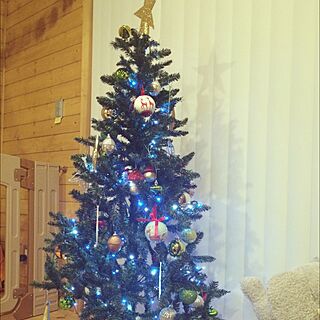 リビング/クリスマスツリー/BESSの家のインテリア実例 - 2015-12-05 19:42:13