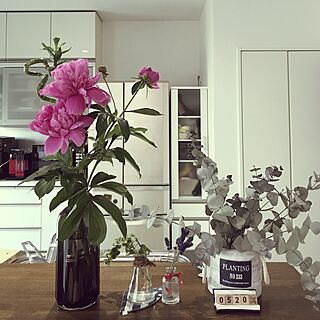 キッチン/IKEAのフラワーベース/ニトリの雑貨/いぬと暮らす/花がある暮らし...などのインテリア実例 - 2017-05-20 06:06:36