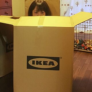 リビング/OHANA☆家族/あったかい♡/IKEAから荷物がきたので入ってみた…/段ボール...などのインテリア実例 - 2016-12-13 16:19:59