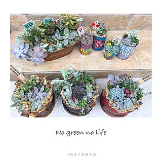 玄関/入り口/バーベキューコンロ/コンロ寄せ/今日の寄せ植え/NO GREEN NO LIFE...などのインテリア実例 - 2016-11-12 15:26:58