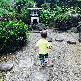 実家の庭/和風庭園/和風な庭/日本庭園風/実家...などのインテリア実例 - 2019-05-27 21:17:05