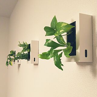 壁/天井/初投稿/観葉植物/無印良品/壁に掛けられる植物...などのインテリア実例 - 2017-04-01 23:40:45