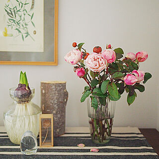 IKEAテーブルランナー/庭のある暮らし/バラ/植物のある暮らし/冬を楽しむ...などのインテリア実例 - 2022-01-29 16:02:52