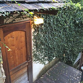 玄関/入り口/植物/壁面緑化のインテリア実例 - 2015-11-11 07:45:49