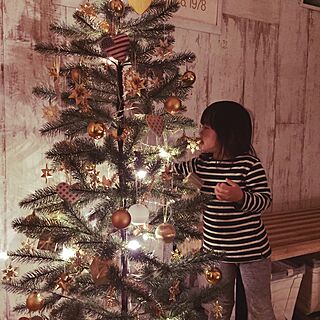 部屋全体/クリスマスツリー/IKEAのインテリア実例 - 2015-11-02 21:07:18