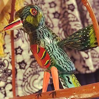 鳥 Toucan 南米 レトロポップ A4 ミッドセンチュリー ロカビリー-