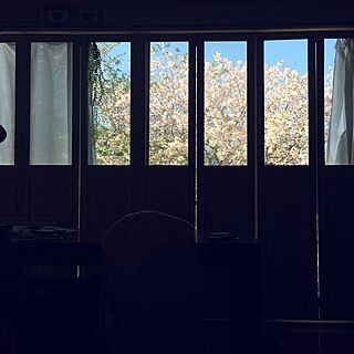 部屋全体/窓からの桜/さくら/窓/折れ戸DIY...などのインテリア実例 - 2016-04-18 07:34:16