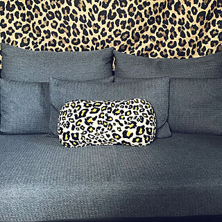 leopard/gray/sofa/living room/リビング...などのインテリア実例 - 2019-05-08 13:11:43