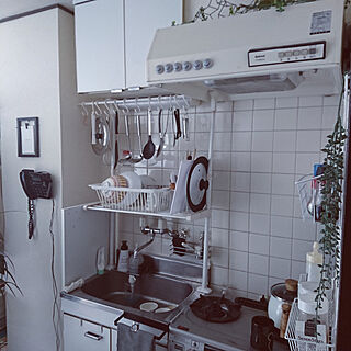 キッチン/狭い台所/百均/白&黒/フェイクグリーンのインテリア実例 - 2021-04-28 15:02:56