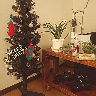 棚/クリスマスツリー/DIY/多肉植物/カインズホーム...などのインテリア実例 - 2016-12-22 23:46:07