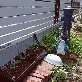 ベッド周り/緑のある暮らし/アメリカンハウス/家庭菜園のインテリア実例 - 2018-04-24 17:46:21