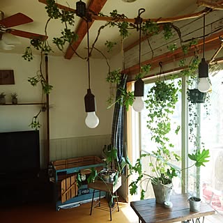 ベッド周り/植物/アイビー/観葉植物のある部屋/足場板テーブル...などのインテリア実例 - 2017-05-27 13:46:15