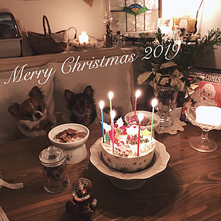 チワワ/いぬと暮らす/間接照明/癒し/クリスマス...などのインテリア実例 - 2019-12-24 22:59:28